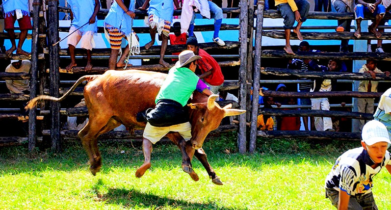 Ambanivohitra